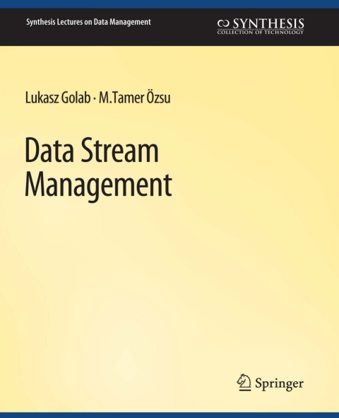 Cover image for book Data Stream Management
