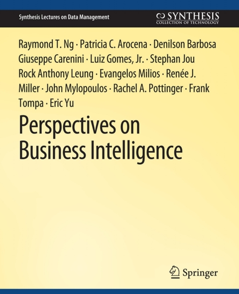 Perspectives on Business Intelligence 