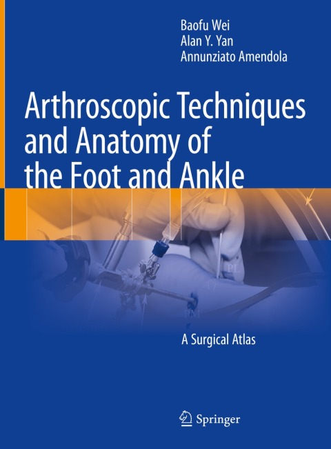 Arthroscopic Techniques and Anatomy of the Foot and Ankle 