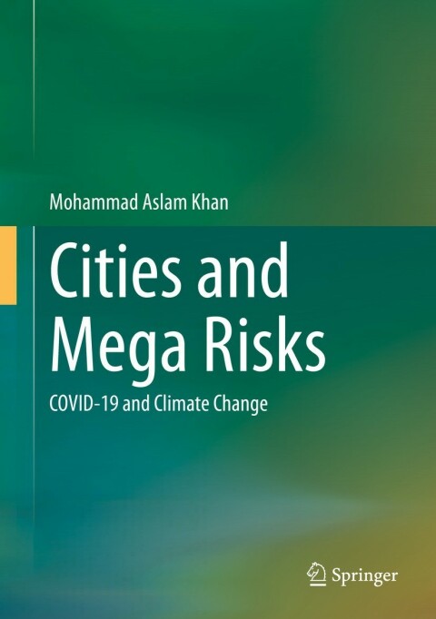 Cover image for book Cities and Mega Risks