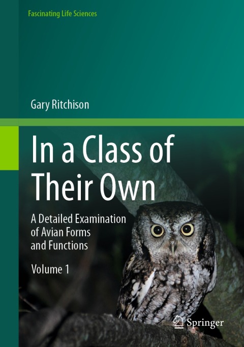 Cover image for book In a Class of Their Own