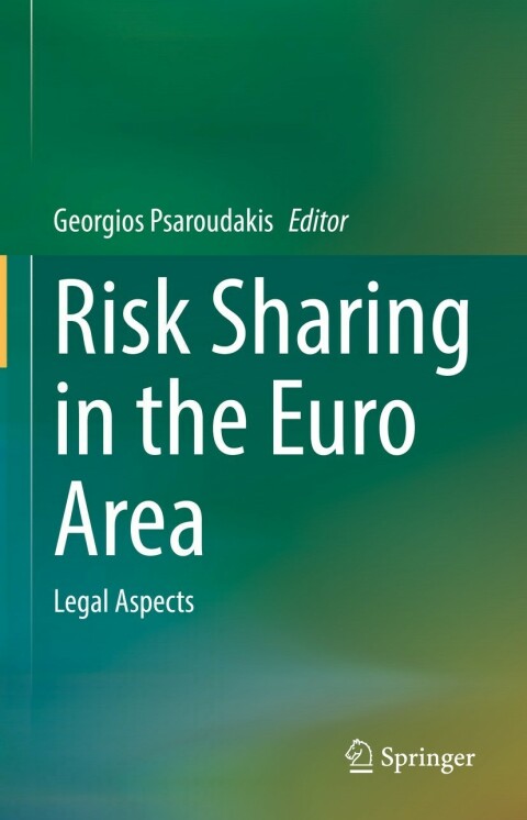 Cover image for book Risk Sharing in the Euro Area