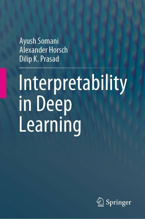 Interpretability in Deep Learning 