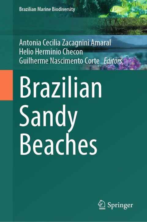 Cover image for book Brazilian Sandy Beaches