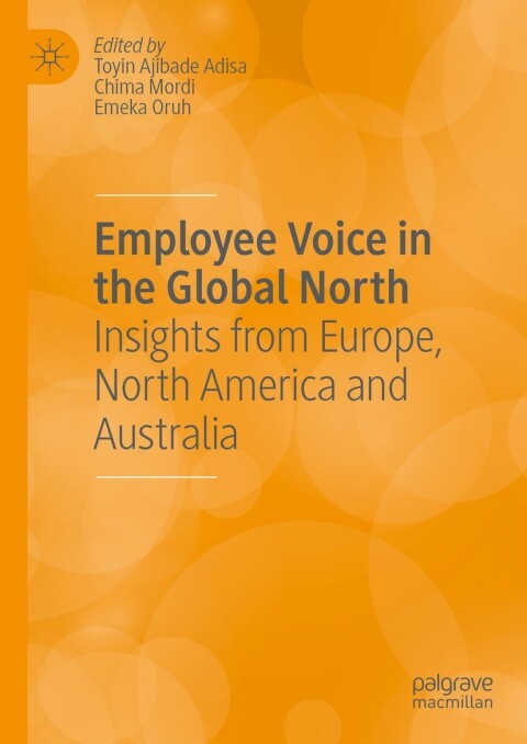 Cover image for book Employee Voice in the Global North