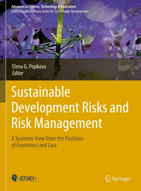 Cover image for book Sustainable Development Risks and Risk Management