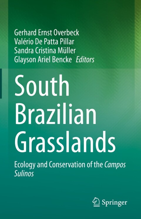 South Brazilian Grasslands 