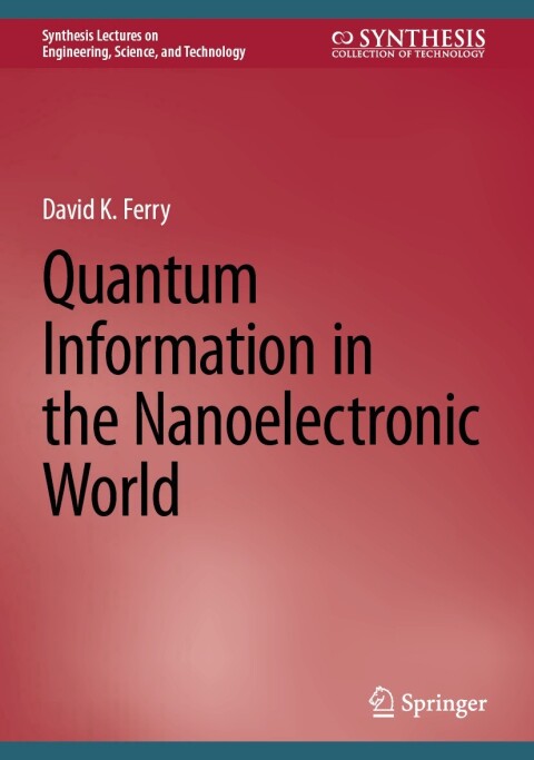 Quantum Information in the Nanoelectronic World 