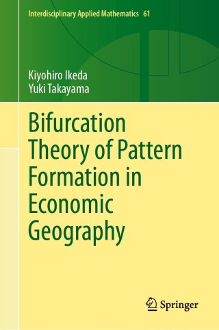 Bifurcation Theory of Pattern Formation in Economic Geography