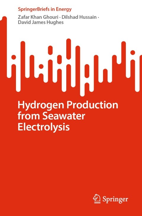 Hydrogen Production from Seawater Electrolysis 