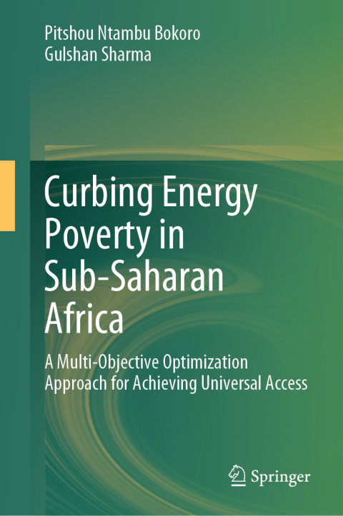 Cover image for book Curbing Energy Poverty in Sub-Saharan Africa