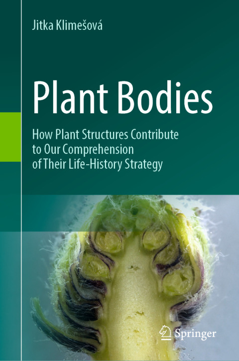 Cover image for book Plant Bodies