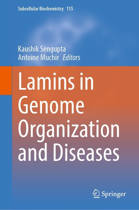 Cover image for book Lamins in Genome Organization and Diseases