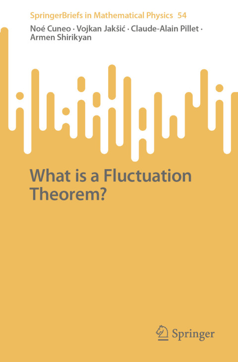 Cover image for book What is a Fluctuation Theorem?
