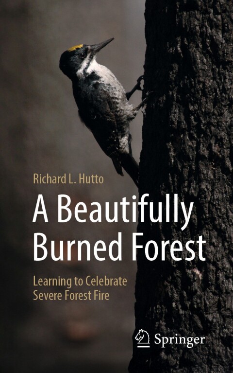 Cover image for book A Beautifully Burned Forest