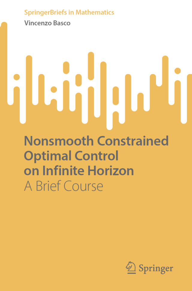Nonsmooth Constrained Optimal Control on Infinite Horizon