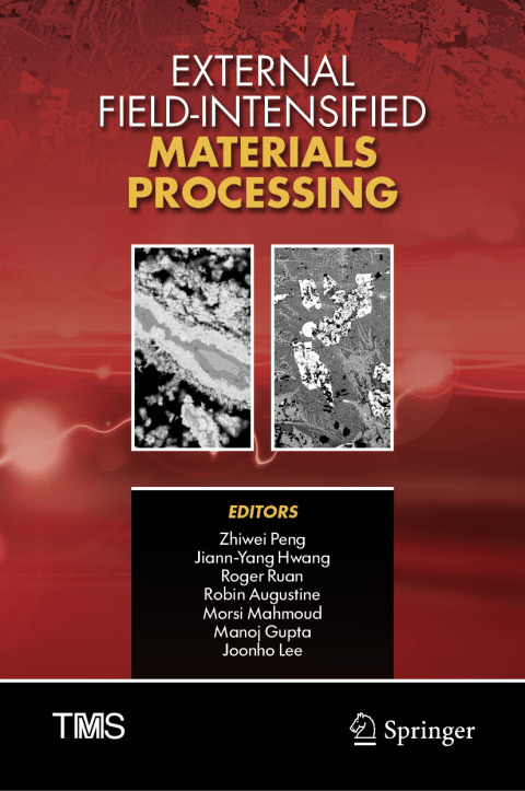 Cover image for book External Field-Intensified Materials Processing