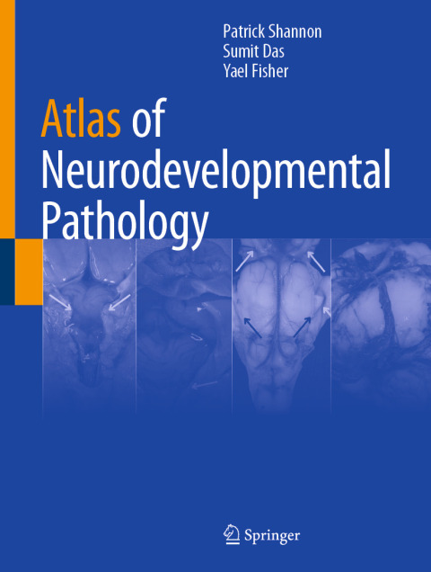 Cover image for book Atlas of Neurodevelopmental Pathology