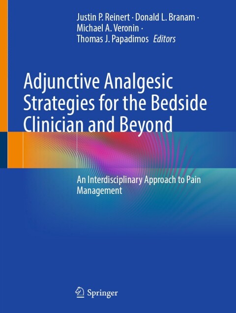 Cover image for book Adjunctive Analgesic Strategies for the Bedside Clinician and Beyond