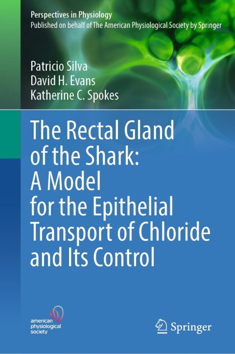 Cover image for book The Rectal Gland of the Shark: A Model for the Epithelial Transport of Chloride and Its Control