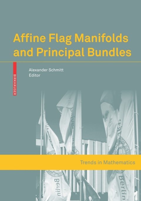 Cover image for book Affine Flag Manifolds and Principal Bundles
