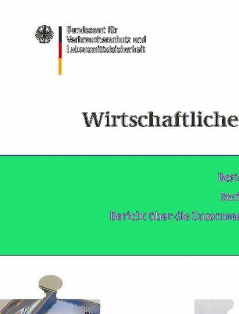 Cover image for book Berichte zum Wirtschaftlichen Verbraucherschutz 2009/2010