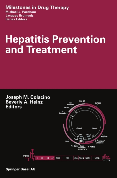 Cover image for book Hepatitis Prevention and Treatment