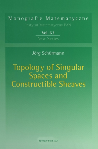 Topology of Singular Spaces and Constructible Sheaves