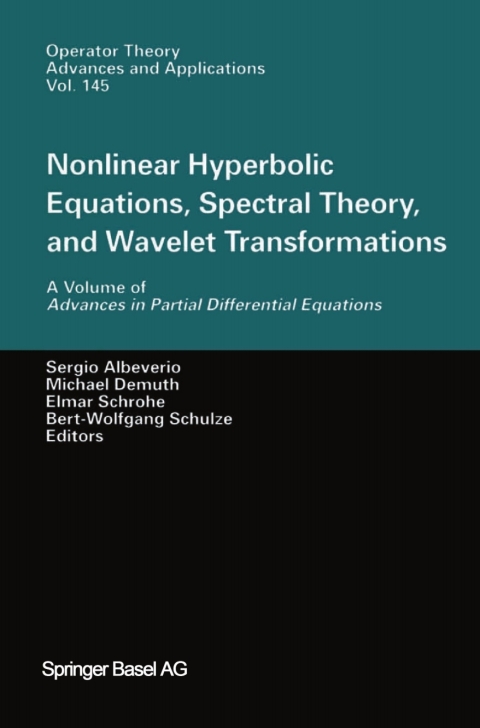 Cover image for book Nonlinear Hyperbolic Equations, Spectral Theory, and Wavelet Transformations