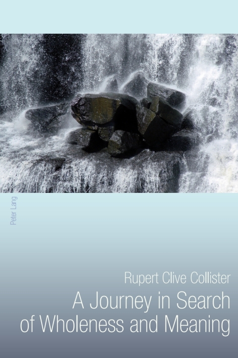 Cover image for book A Journey in Search of Wholeness and Meaning