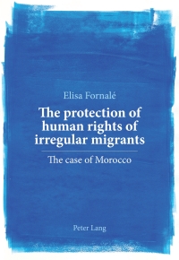Cover image: The protection of human rights of irregular migrants 1st edition 9783034312738