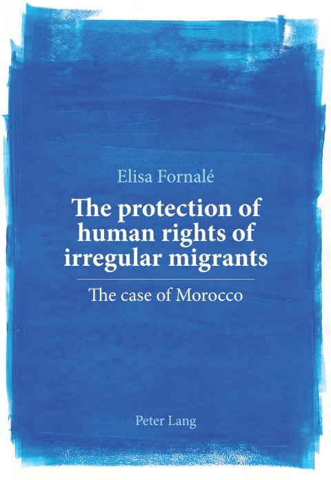 Cover image for book The protection of human rights of irregular migrants
