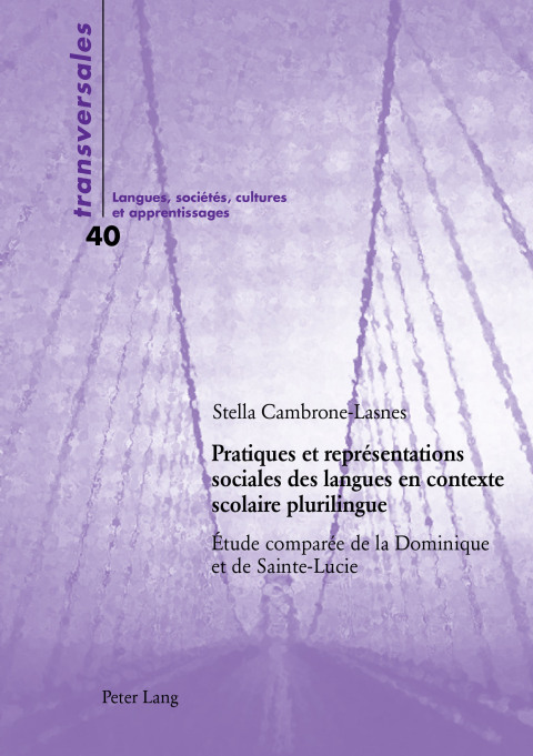 Cover image for book Pratiques et représentations sociales des langues en contexte scolaire plurilingue