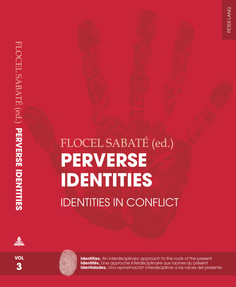 Cover image for book Perverse Identities
