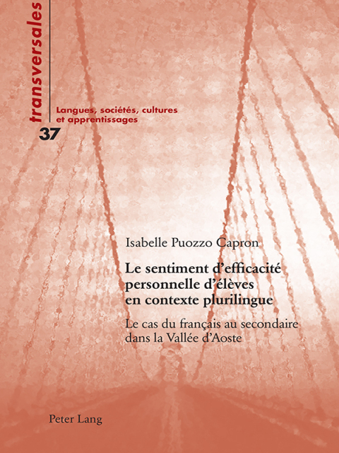 Cover image for book Le sentiment defficacité personnelle délèves en contexte plurilingue
