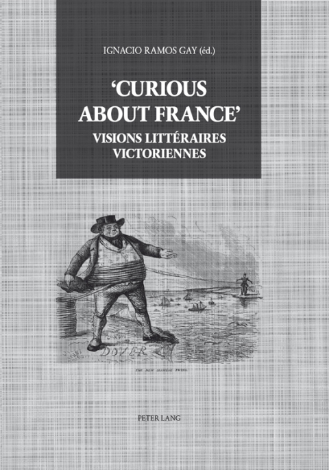 Cover image for book Curious about France