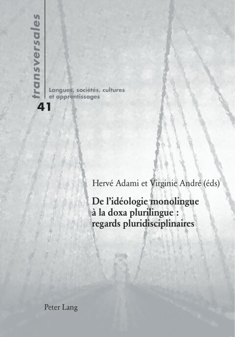 Cover image for book De lidéologie monolingue à la doxa plurilingue : regards pluridisciplinaires