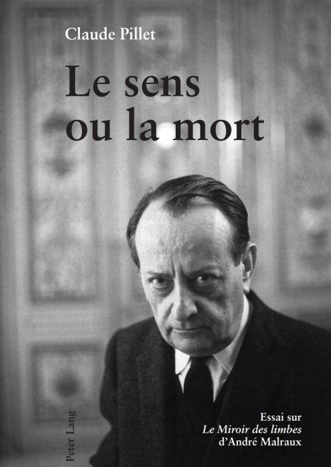 Cover image for book Le sens ou la mort