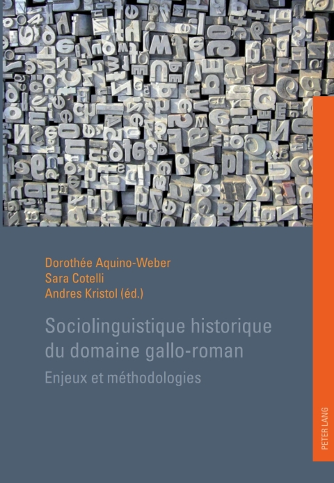Cover image for book Sociolinguistique historique du domaine gallo-roman