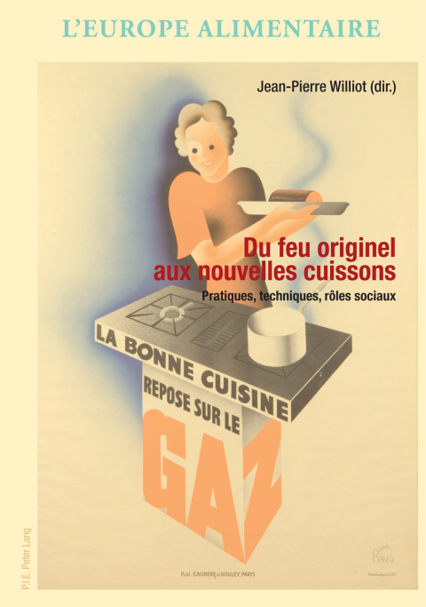 Cover image for book Du feu originel aux nouvelles cuissons