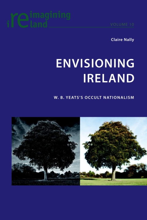 Cover image for book Envisioning Ireland