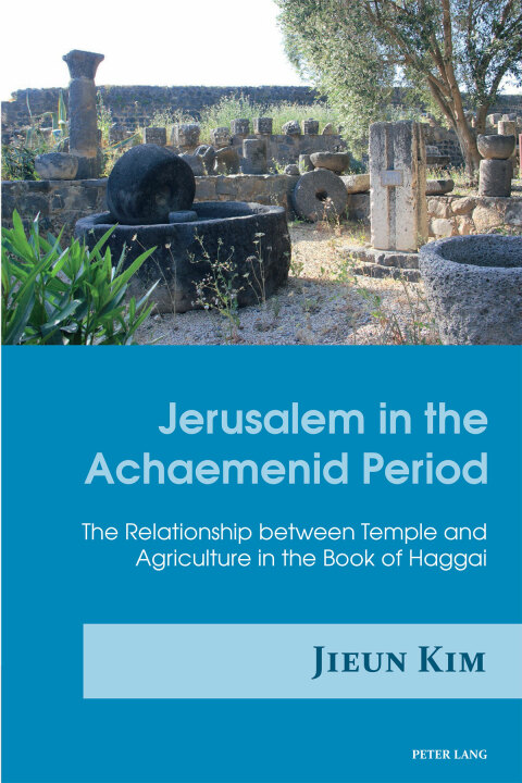 Cover image for book Jerusalem in the Achaemenid Period