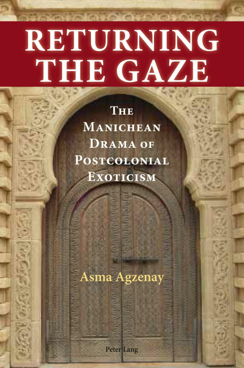 Cover image for book Returning the Gaze