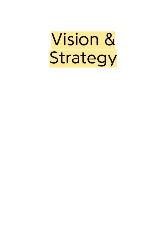 Vision & Strategy