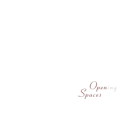 Cover image for book Open(ing) Spaces