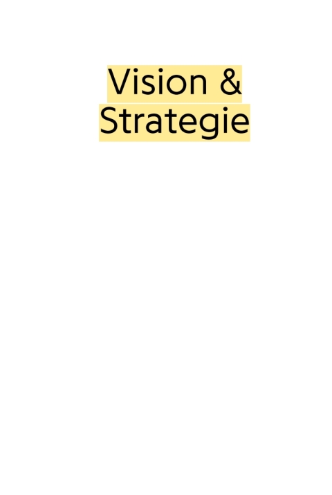 Cover image for book Vision & Strategie