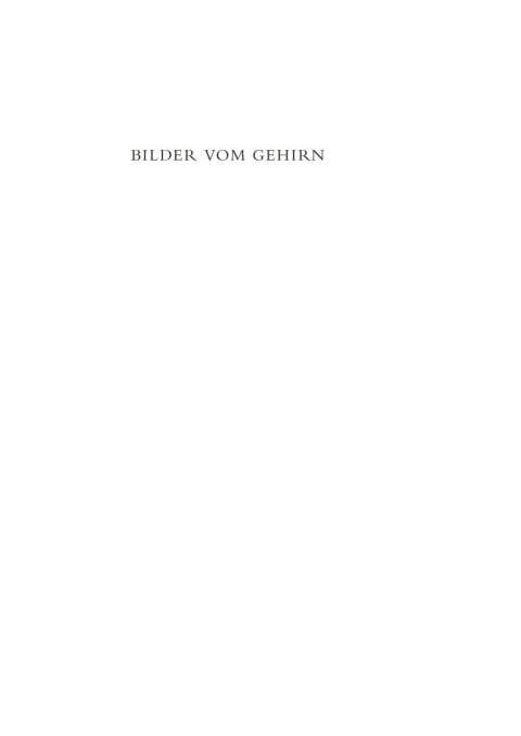 Cover image for book Bilder vom Gehirn