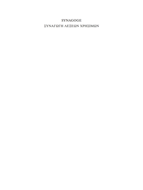 Cover image for book Synagoge