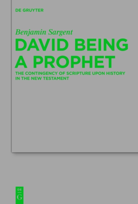 Cover image for book David Being a Prophet