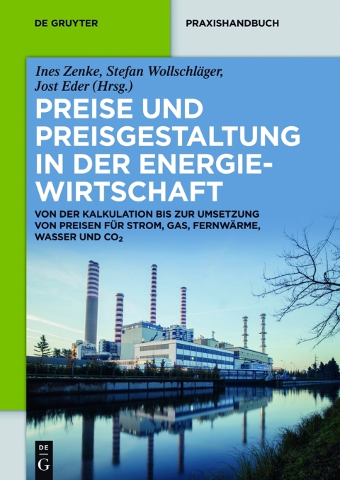 Cover image for book Preise und Preisgestaltung in der Energiewirtschaft
